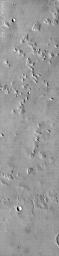 This NASA Mars Odyssey image shows a location near the highland-lowland boundary scarp in a region called Nepenthes Mensae with relatively smooth plains dotted with some craters and stepped mesas and knobs.