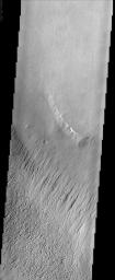 This image from NASA's Mars Odyssey covers a portion of the Medusa Fossae formation, near the equator of Mars. The most characteristic feature of the Medusa Fossae formation is the abundance of 'yardangs,' which are erosional landforms carved by wind.