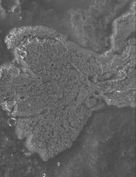 NASA's Mars Global Surveyor shows a portion of a lava flow in the Daedalia Planum region of Mars, south of the volcano, Arsia Mons. Daedalia Planum is known for its abundance of ancient, long, lava flows.