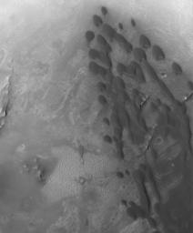 NASA's Mars Global Surveyor shows a field of low-albedo (dark) barchan sand dunes in a crater located in western Arabia Terra on Mars. Small dunes like these are common in the craters of western Arabia Terra.