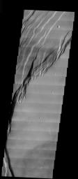 This image from NASA's Mars Odyssey spacecraft shows part of the caldera rim and floor of Arsia Mons. The arcuate fractures along the rim indicate multiple periods of activity, both eruptions and collapse after eruptions. 