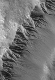 NASA's Mars Global Surveyor shows gullies in the southeast-facing wall of an impact crater in northwestern Acidalia Planitia on Mars. Gullies are common in southern middle-latitude craters.