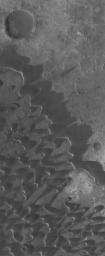 NASA's Mars Global Surveyor shows dark, windblown sand dunes in the caldera of Nili Patera, a volcanic crater in Syrtis Major on Mars.