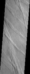 Extensional forces in the volcanic province of Tharsis, shown in this image from NASA's Mars Odyssey spacecraft, have produced a fractured terrain that resembles wrinkled skin.