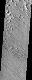 In this region of the Olympus Mons aureole, located to the southwest of the volcano, the surface has been eroded by the wind into linear landforms called yardangs, which can be seen in this image from NASA's Mars Odyssey spacecraft.
