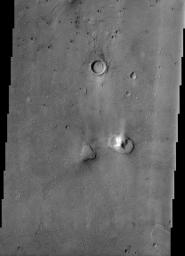 This image from NASA's Mars Odyssey spacecraft of the northern plains of Mars shows a surface texture of hundreds of small mounds and numerous small impact craters.