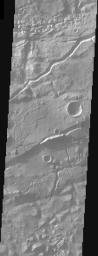 This image from NASA's Mars Odyssey shows the cratered highlands of Terra Cimmeria. The image contains several long troughs of Sirenum Fossae running primarily from left to right. These features are parallel to semi-parallel fractures called graben.