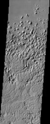 The style of erosion along the highlands-lowlands boundary of southern Elysium Planitia has produced a strange pattern of troughs that look like the skin of a reptile, as seen in this image from NASA's Mars Odyssey spacecraft.