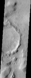 The bizarre patterns on the floor of this crater in Nilosyrtis Mensae imaged by NASA's Mars Odyssey defy an easy explanation. It is possible that some form of periglacial process combined with the vaporization of ground ice to form these patterns.