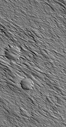 NASA's Mars Global Surveyor shows a wind-eroded landscape in the Amazonis Mensa region of far western Tharsis on Mars. Two meteor impact craters are seen in a state of partial-exhumation from within the wind-eroded material.