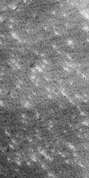 NASA's Mars Global Surveyor shows bright (and a few dark) wind streaks formed in the defrosting carbon dioxide of Mars' south polar seasonal frost cap. 