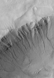 NASA's Mars Global Surveyor shows gullies cut into layered rock and debris on the wall of a south middle-latitude crater on Mars. 
