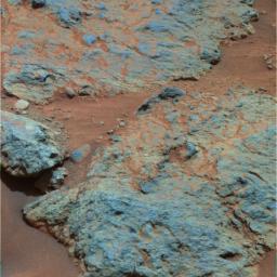 This false-color mosaic was taken with NASA's Spirit's panoramic camera on July 25, 2005, while the rover was sitting on the 'Voltaire' layered rock outcrop. Rounded pebbles were embedded into the rock. 