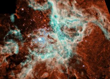 A panoramic view of a vast, sculpted area of gas and dust where thousands of stars are being born has been captured by NASA's Hubble Space Telescope.