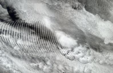 In this natural-color image from NASA's Terra spacecraft, a fingerprint-like gravity wave feature occurs over a deck of marine stratocumulus clouds.