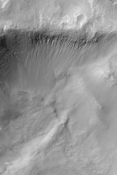 NASA's Mars Global Surveyor shows gullies on the north wall of a crater in the Atlantis Chaos region on Mars.
