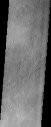 This image taken by NASA's 2001 Mars Odyssey shows lava flows and channels are visible here on the eastern flanks of Ascraeus Mons. One of the channels is bordered by levees, which form as lava overflows the channel banks, cools and solidifies. 