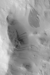 NASA's Mars Global Surveyor shows a variety of dark slope streaks, formed by avalanches of dust, on the walls of a crater in southwest Amazonis on Mars.