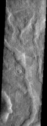 NASA's Mars Odyssey spacecraft captured this image in July 2003, showing Tader Valles, a set of small channels at mid-southern latitudes that is filled by smooth material with rounded margins. This may be snow covered by a mantle of dust or dirt.