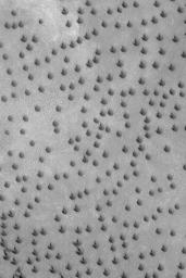 NASA's Mars Global Surveyor shows a field of small barchan sand dunes in the north polar region of Mars.