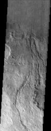 NASA's Mars Odyssey spacecraft captured this image in July 2003, showing younger crenulated lava flows of Daedalia Planum lap up against the ancient highlands on Mars. The crenulated ridges are most likely pressure ridges.
