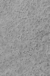 NASA's Mars Global Surveyor shows a plethora of small mesas with sharp, arcuate edges located on the south polar residual cap of Mars.