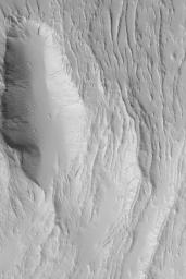 NASA's Mars Global Surveyor shows some of the lava flows and leveed lava channels on the southeastern flank of Olympus Mons on Mars. These flows have been covered by a thick mantle of dust.