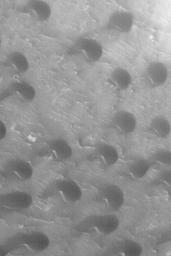 NASA's Mars Global Surveyor shows a portion of the dark area in southwest Peridier Crater on Mars.