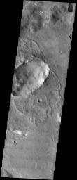NASA's Mars Odyssey spacecraft captured this image in September 2003, showing heavily cratered southern highlands of Mars. Elliptical craters with 'butterfly' ejecta patterns make up roughly 5% of the total crater population of Mars. 