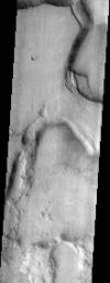 Named for a great river in Africa, the martian version is a system of eroding channels that empties into the Hellas impact basin as seen in this image captured by NASA's Mars Odyssey spacecraft in September 2003.