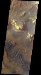 This spectacular view, taken by NASA's 2001 Mars Odyssey, shows the sunlit cliffs and basaltic sand dunes in southern Melas Chasma shows Mars in a way rarely seen: in full, realistic color.