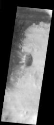 This image from NASA's 2001 Mars Odyssey released on Dec 1, 2003 shows dark transverse and linear dunes located in the floor of a crater in the southern highlands on Mars. Dunes appear to follow the flow of winds that circle around the crater floor.