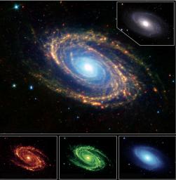 The magnificent spiral arms of the nearby galaxy Messier 81 are highlighted in this image from NASA's Spitzer Space Telescope. 
