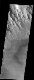 This image from NASA's 2001 Mars Odyssey released on Dec 17, 2003 shows steep walls of Juventae Chasma tower over the wide variety of landforms on the floor of the canyon. Fantastic dune patterns formed as wind swirled around the head of the canyon.