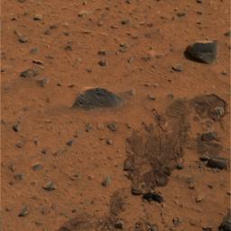 This color image from NASA's Mars Exploration Rover Spirit was processed to produce a sharper look at a trail left by the one of rover's airbags. The drag mark was made after the rover landed and its airbags were deflated and retracted.