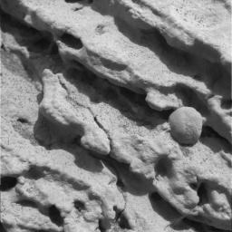 This sharp, close-up image taken by the microscopic imager on NASA's Mars Exploration Rover Opportunity's instrument deployment device, or 'arm,' shows a rock target dubbed 'Robert E,' located on the rock outcrop at Meridiani Planum, Mars.