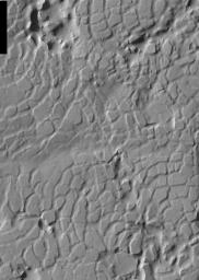 This image, part of an images as art series from NASA's 2001 Mars Odyssey released on Feb 19, 2004 shows a cracked, chaotic terrain bearing a striking similarity to reptile skin, perhaps a very large alligator.