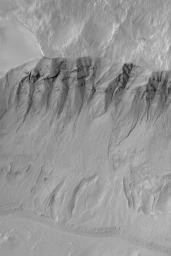 NASA's Mars Global Surveyor shows gullies and debris aprons in a crater on Mars. Gullies such as these may have formed by running water, carbon dioxide, or dry mass movement processes.