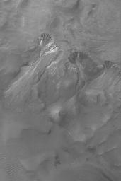 NASA's Mars Global Surveyor shows a set of south middle-latitude gullies in a crater wall on Mars. Some of the gullies and the erosional alcoves that formed above them have cut and exposed a light-toned material.