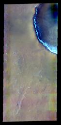 This false-color image from NASA's 2001 Mars Odyssey released on April 30, 2004 shows the martian surface during the northern spring season in Vastitas Borealis.