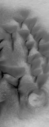 NASA's Mars Global Surveyor shows dark sand dunes on the floor of a crater in Noachis Terra on Mars. 
