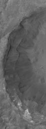NASA's Mars Global Surveyor shows gullies formed in the terraced wall of an impact crater on the floor of a larger crater on Mars.