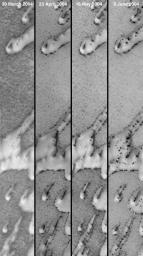 NASA's Mars Global Surveyor shows defrosting north polar sand dunes on Mars.
