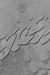 NASA's Mars Global Surveyor shows some of the rounded, wind-eroded sand dune features in a crater in the southern hemisphere of Mars. For such rounding to occur, the dune sand might need to be somewhat cemented.
