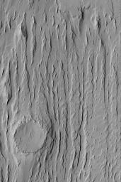 NASA's Mars Global Surveyor shows wind erosion has created yardang ridges and revealed the location of a formerly-buried meteor crater in in the Apollinaris Sulci region of Mars.