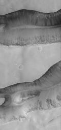 NASA's Mars Global Surveyor shows the state of defrosting north polar sand dunes on Mars on 3 August 2004. Dark areas on the dunes are patches of bare sand; bright areas are remnants of frost deposited during the previous winter.