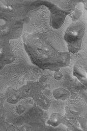 NASA's Mars Global Surveyor shows a strange ridged pattern developed in an eroding layer of material on the floor of a Labyrinthus Noctis depression in the Valles Marineris system on Mars.