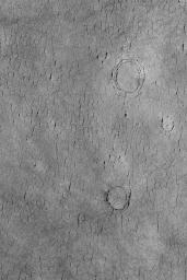 NASA's Mars Global Surveyor shows a cracked plain in western Utopia Planitia on Mars. The three circular crack patterns indicate the location of three buried meteor impact craters.