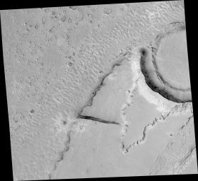 NASA's Mars Global Surveyor shows boulders in large ripples formed by an ancient catastrophic flood in Mars' Athabasca Vallis on Mars.