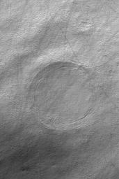 NASA's Mars Global Surveyor shows a circular feature buried in an impact crater in southern Noachis Terra on Mars.